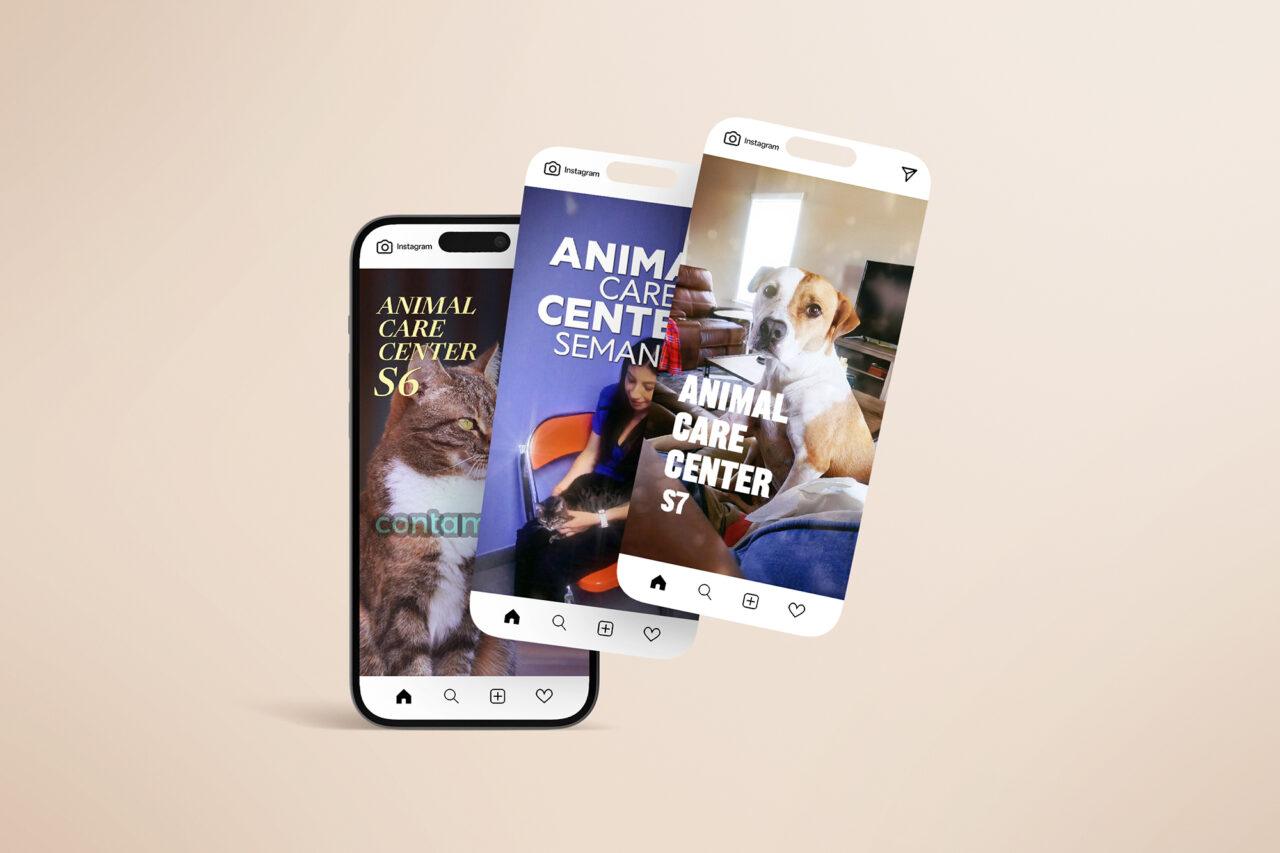 Marketing Digital para Animal Care Center